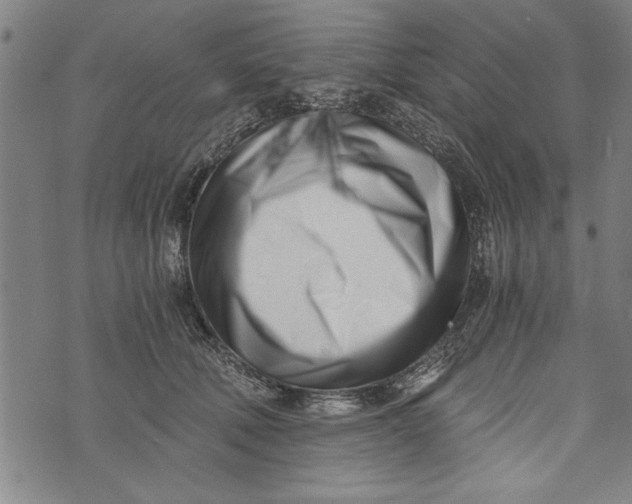 X0000073720610200608241234