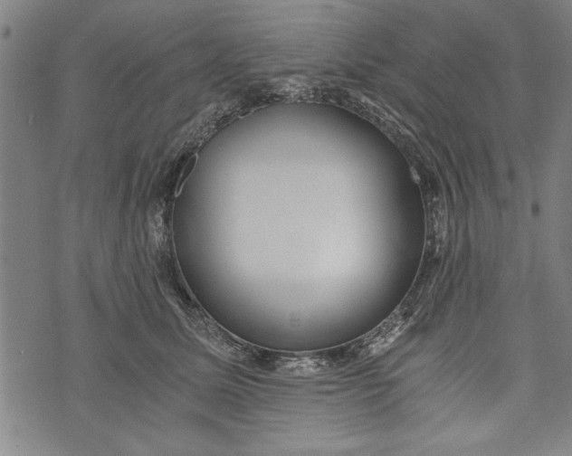 X0000073720611200608241233