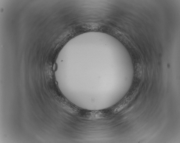 X0000073720612200608241233