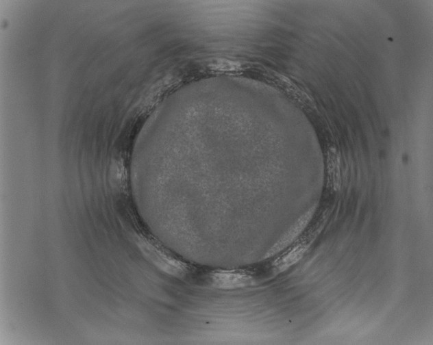 X0000073720614200608241233