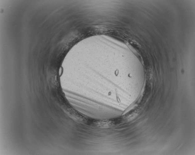 X0000073720615200608241233