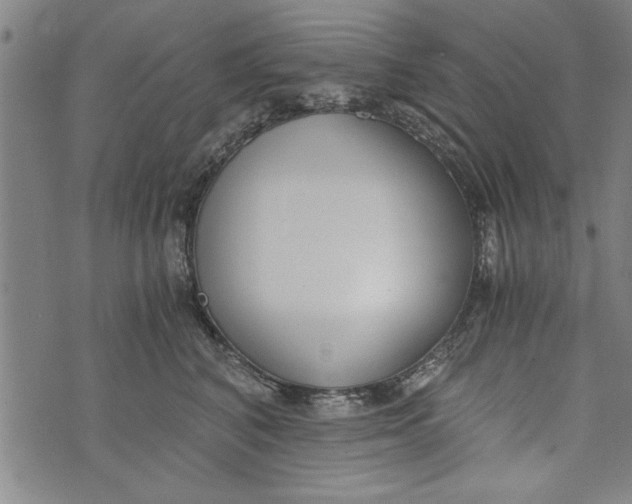 X0000073720616200608241233