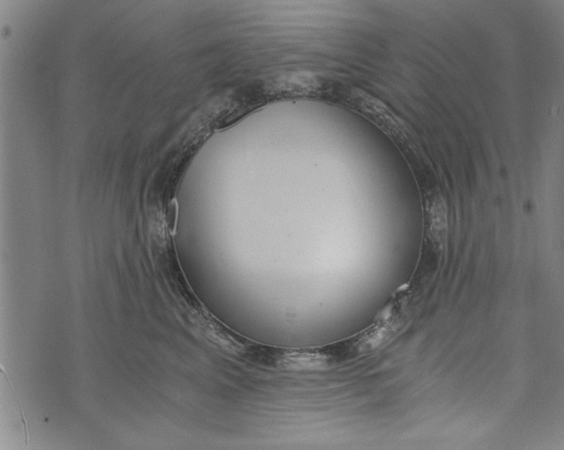 X0000073720617200608241233