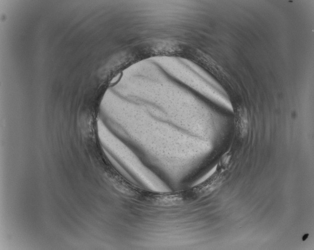 X0000073720619200608241233