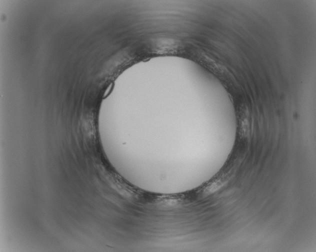 X0000073720620200608241233