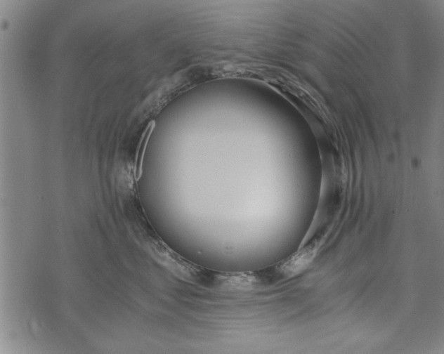 X0000073720621200608241233