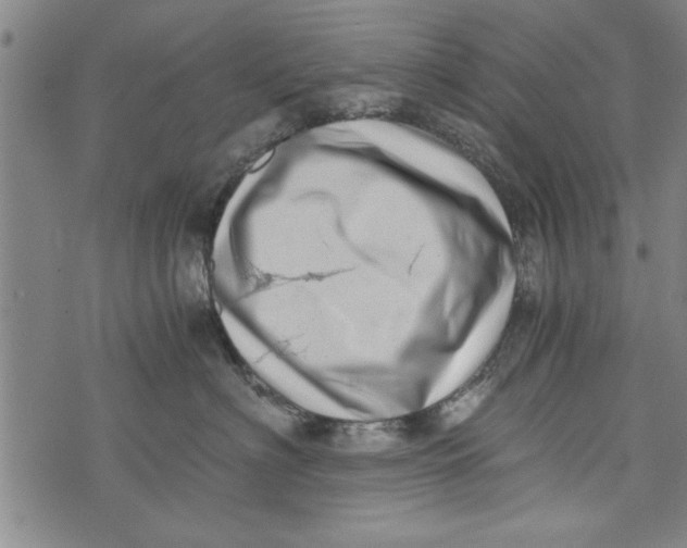 X0000073720622200608241233