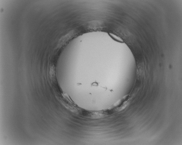 X0000073720623200608241233