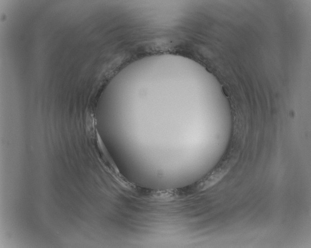 X0000073720624200608241233