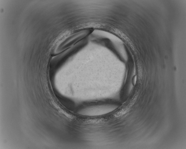 X0000073720625200608241232