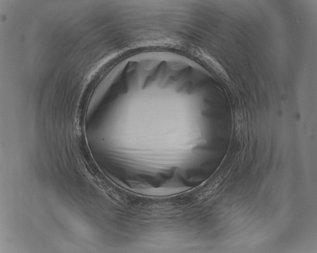 X0000073720628200608241233