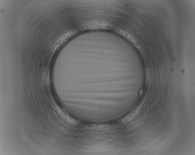 X0000073720629200608241233