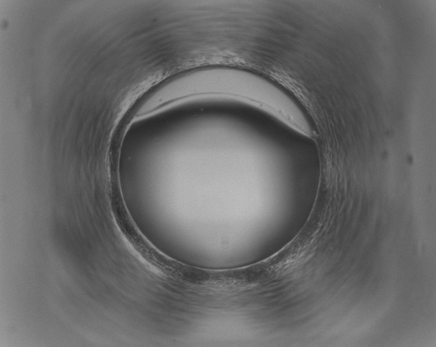 X0000073720630200608241233