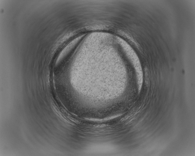 X0000073720631200608241233