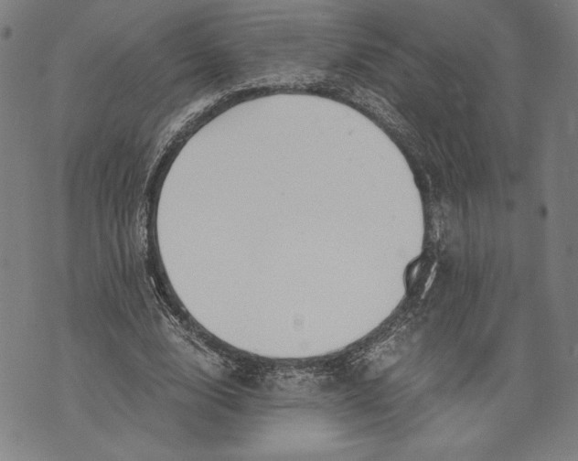 X0000073720632200608241233