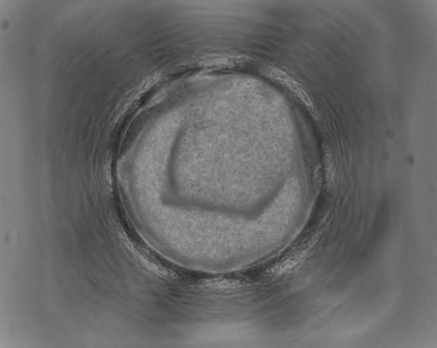 X0000073720633200608241233