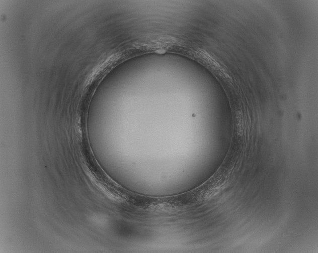 X0000073720634200608241233