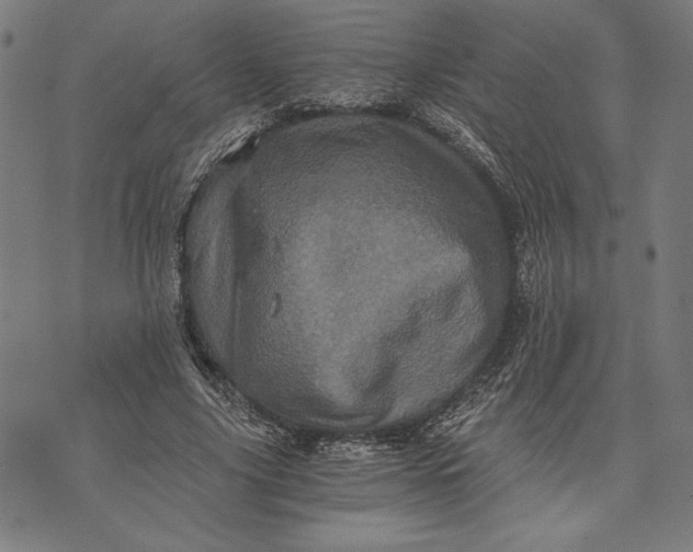 X0000073720635200608241233