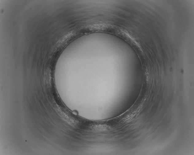 X0000073720637200608241233