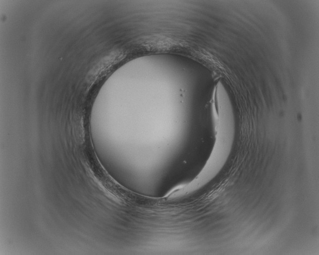 X0000073720638200608241233