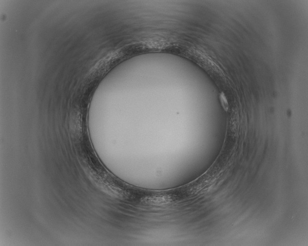 X0000073720639200608241233