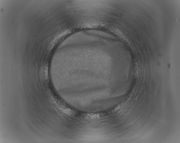 X0000073720640200608241233