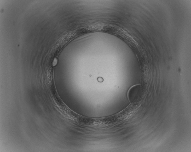 X0000073720641200608241233