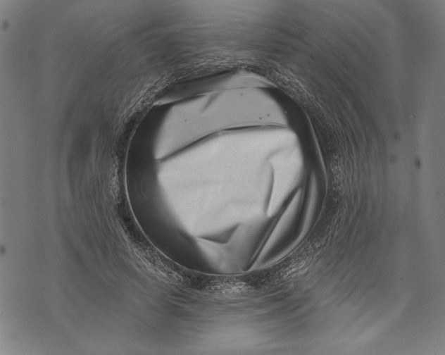 X0000073720642200608241233