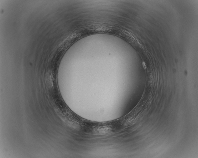 X0000073720643200608241233