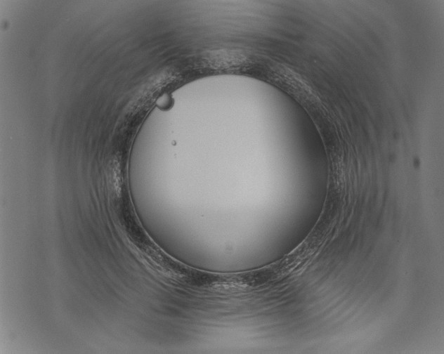 X0000073720644200608241233