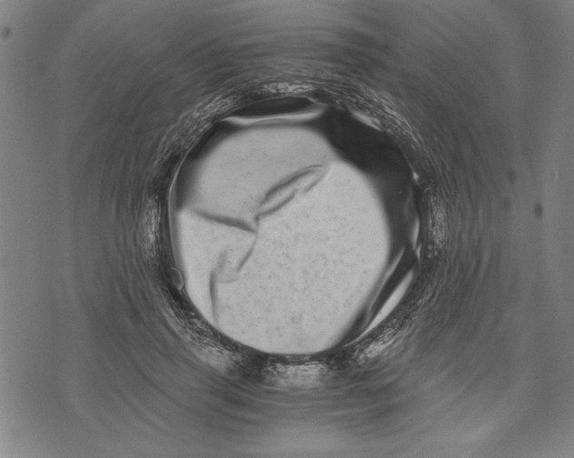 X0000073720645200608241233