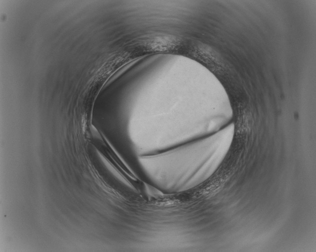 X0000073720646200608241233