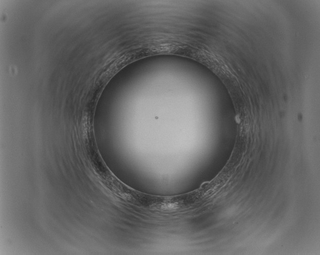 X0000073720647200608241233