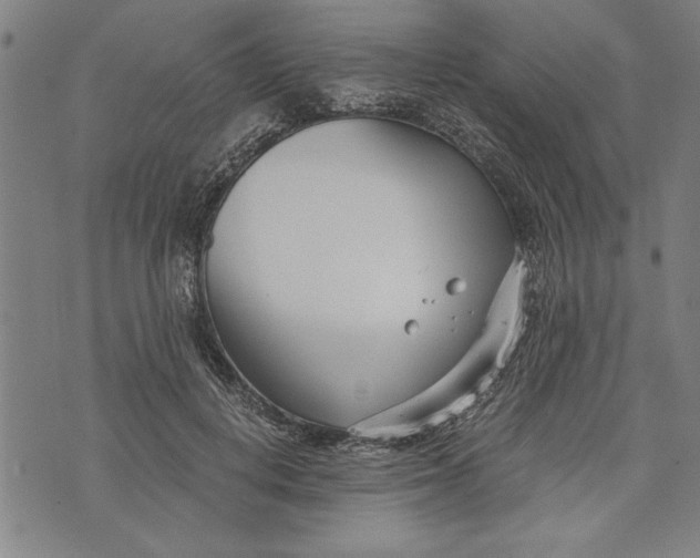 X0000073720648200608241233