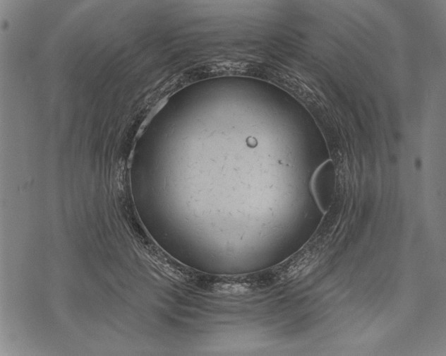 X0000073720649200608241233