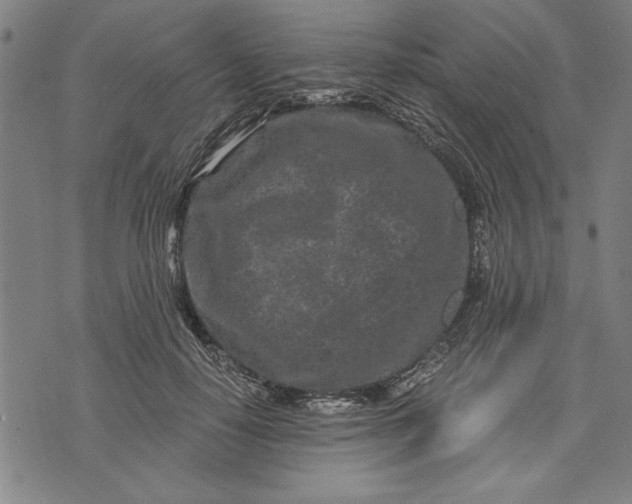 X0000073720650200608241233