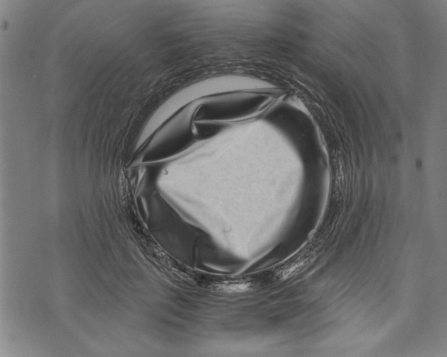 X0000073720651200608241233