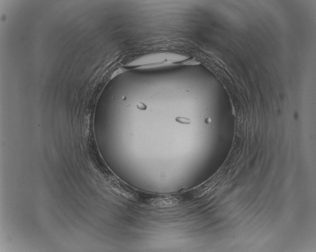 X0000073720652200608241233