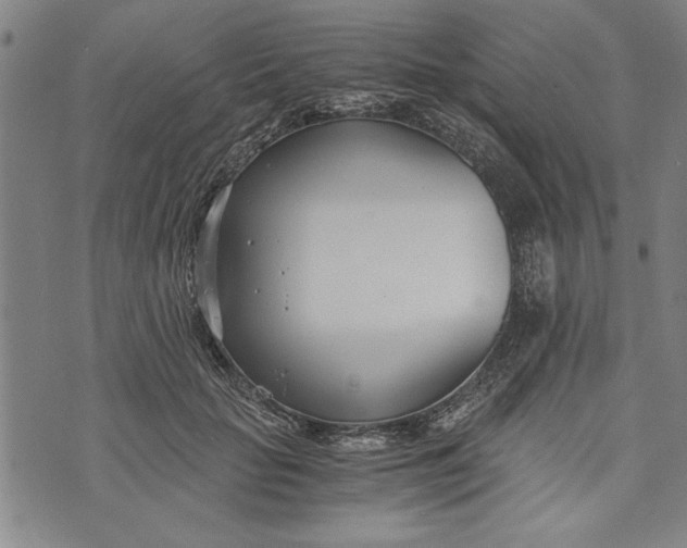 X0000073720653200608241233