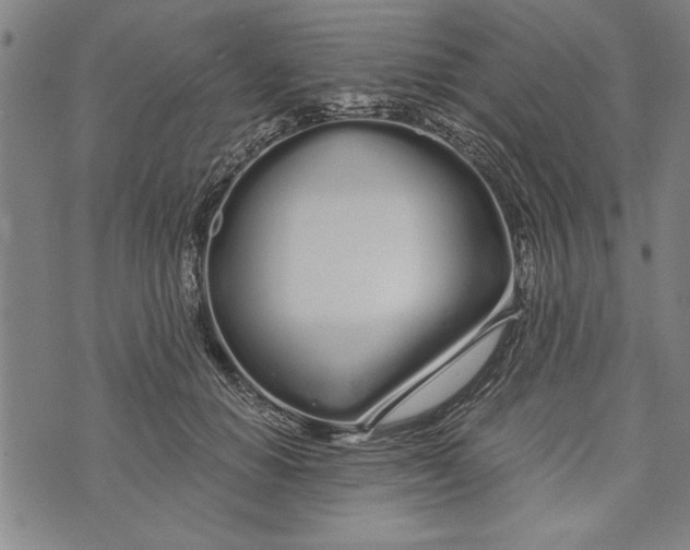 X0000073720654200608241233