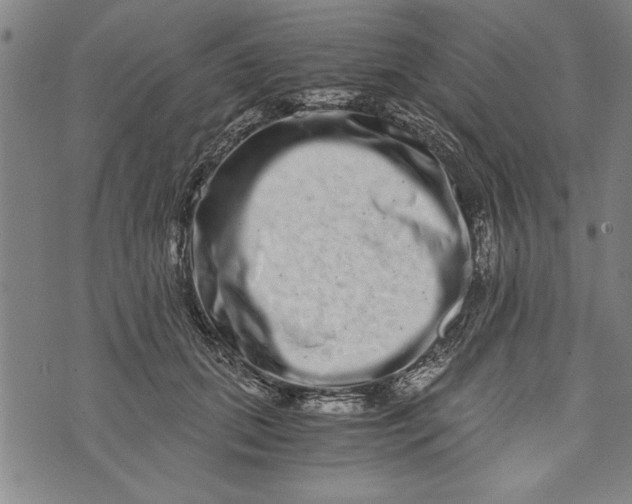 X0000073720655200608241233