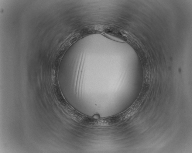 X0000073720656200608241233