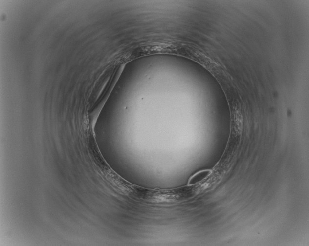 X0000073720657200608241233