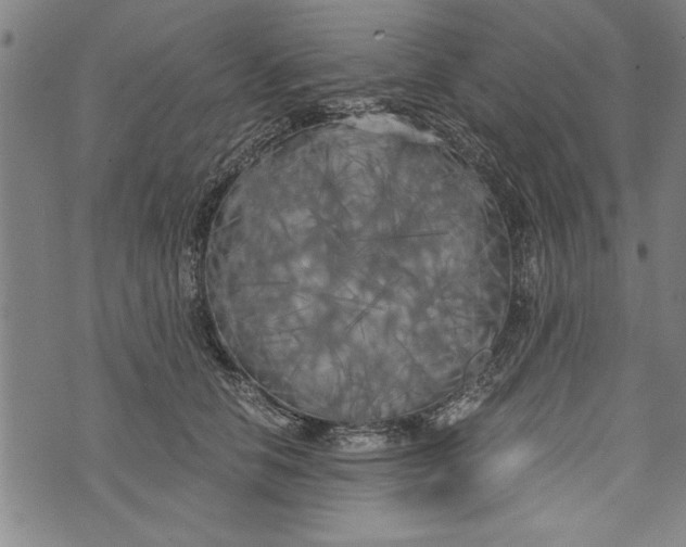 X0000073720658200608241233