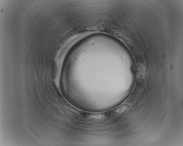 X0000073720659200608241233