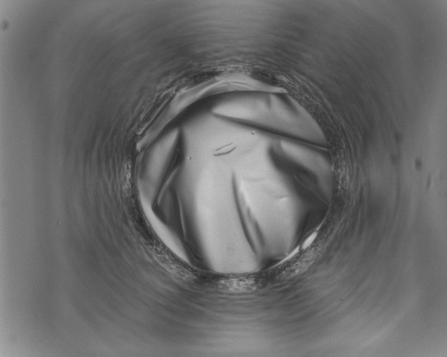 X0000073720660200608241233