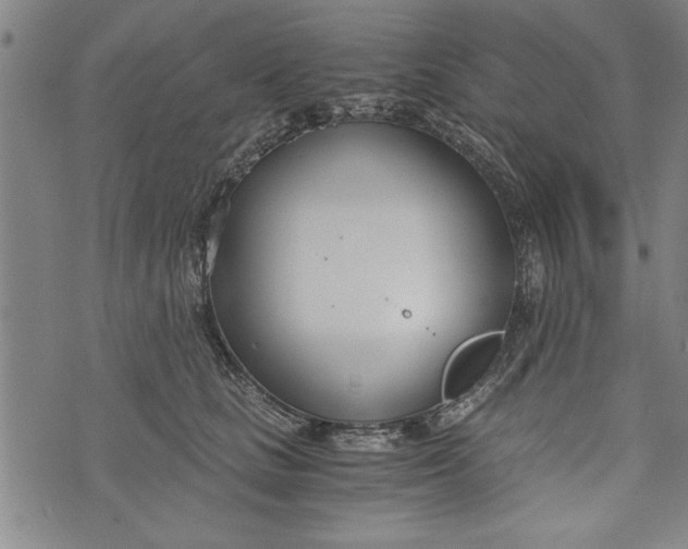 X0000073720661200608241233