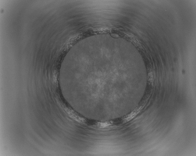 X0000073720662200608241233