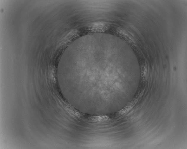 X0000073720663200608241233