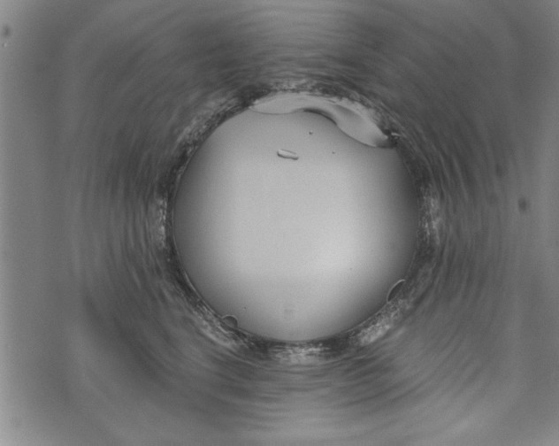 X0000073720664200608241233